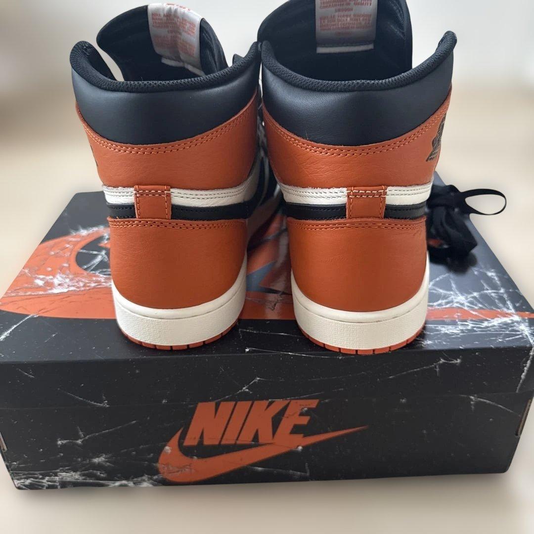Air Jordan 1 Shattered Backboard シャタバ