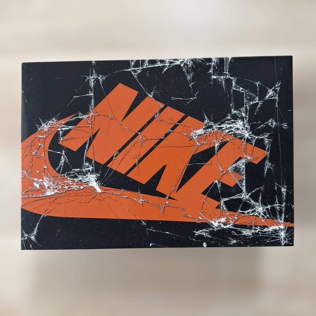 Air Jordan 1 Shattered Backboard シャタバ