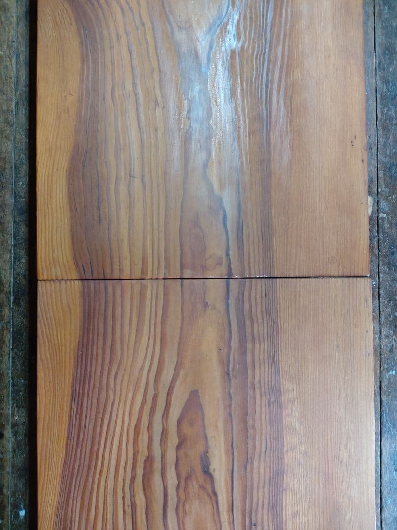 やまねこ　脂松