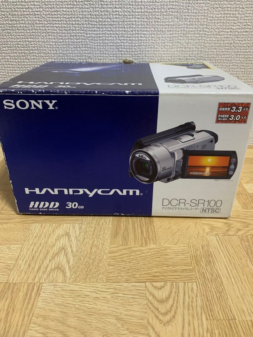 SONY ハンディカム DCR-SR100 ソニー