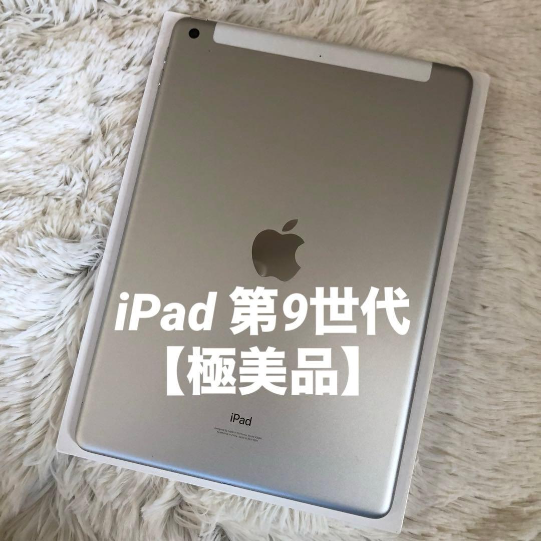 【即購入OK】iPad 第9世代 セルラーモデル【極美品】 #15
