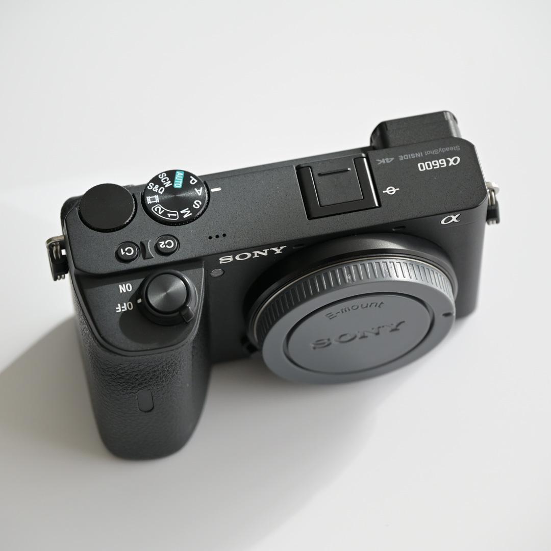 防湿庫保管｜SONY a6600 ＋ Gレンズ 18-105mm F4