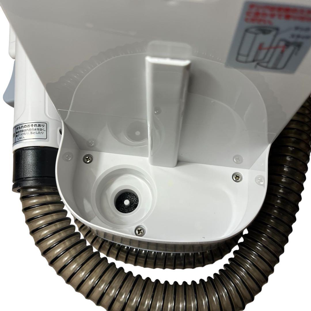 アイリスオーヤマ リンサークリーナー RNS-P10 自動ポンプ 染み抜き