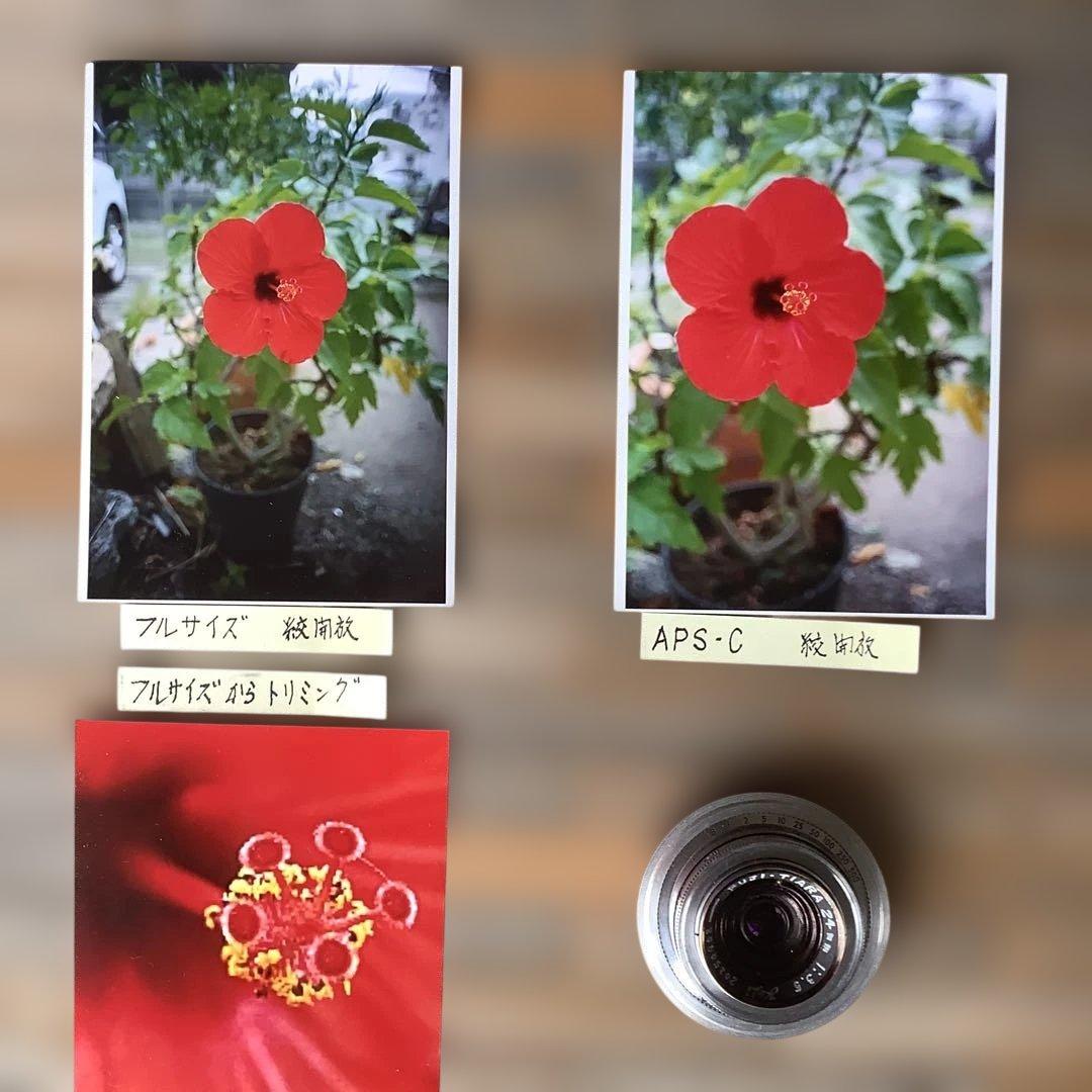 SONY α７用　大改造レンズ、最短26㎝　( FUJI, TIARA24mm)