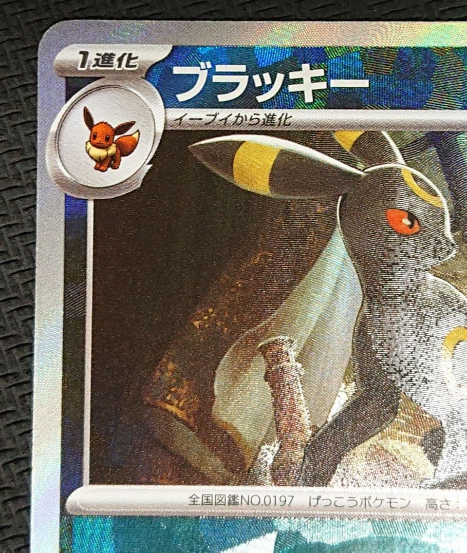 テラスタルフェスex sv8a ブラッキー マスターボールミラー