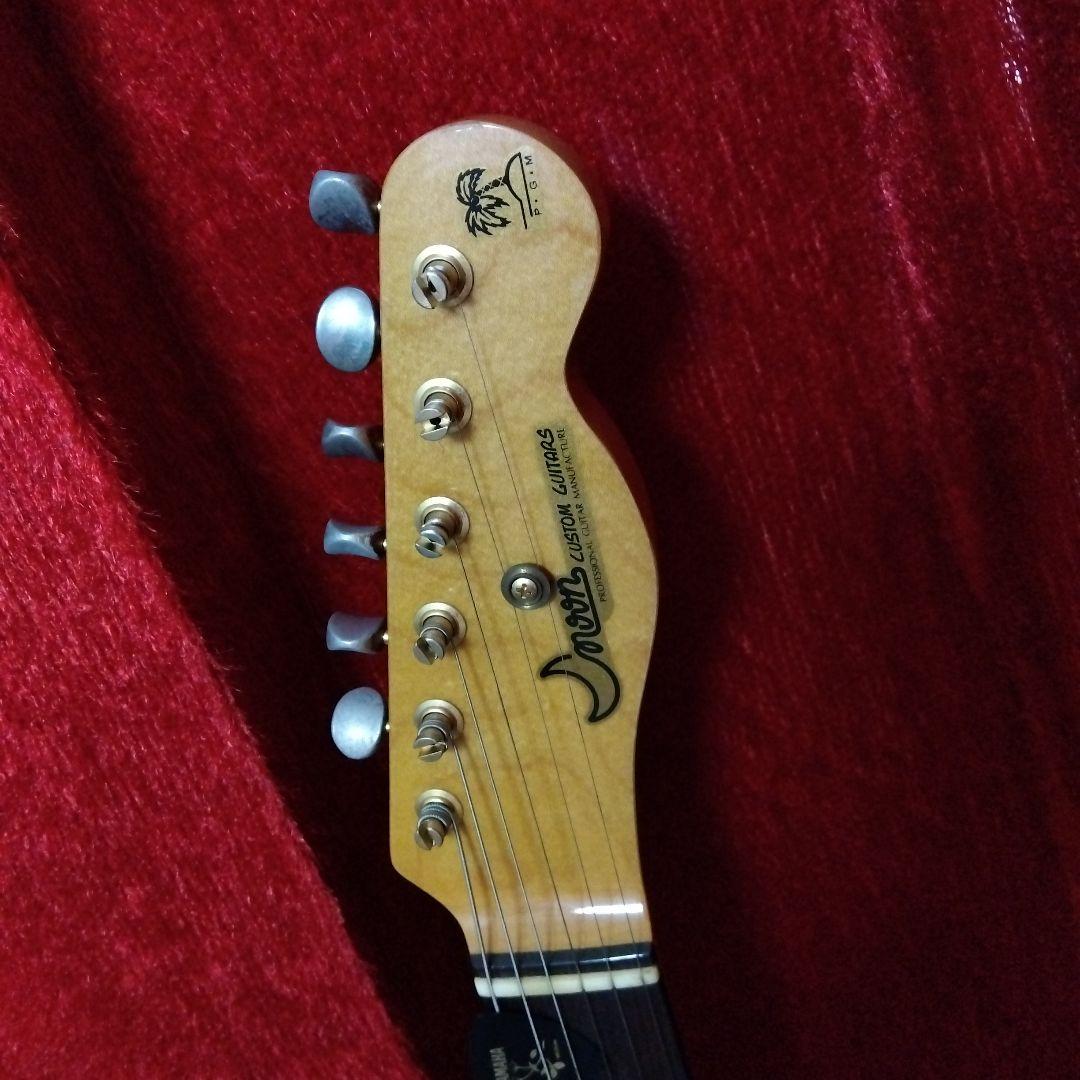 ムーン moon PGM テレキャスター　EMGハムバッキング　ワンオーナー