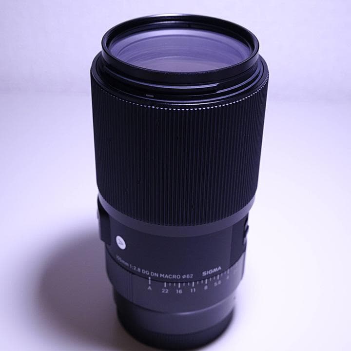 超美品SIGMA 105mm F2.8 MACRO Lマウント購入後4ヶ月