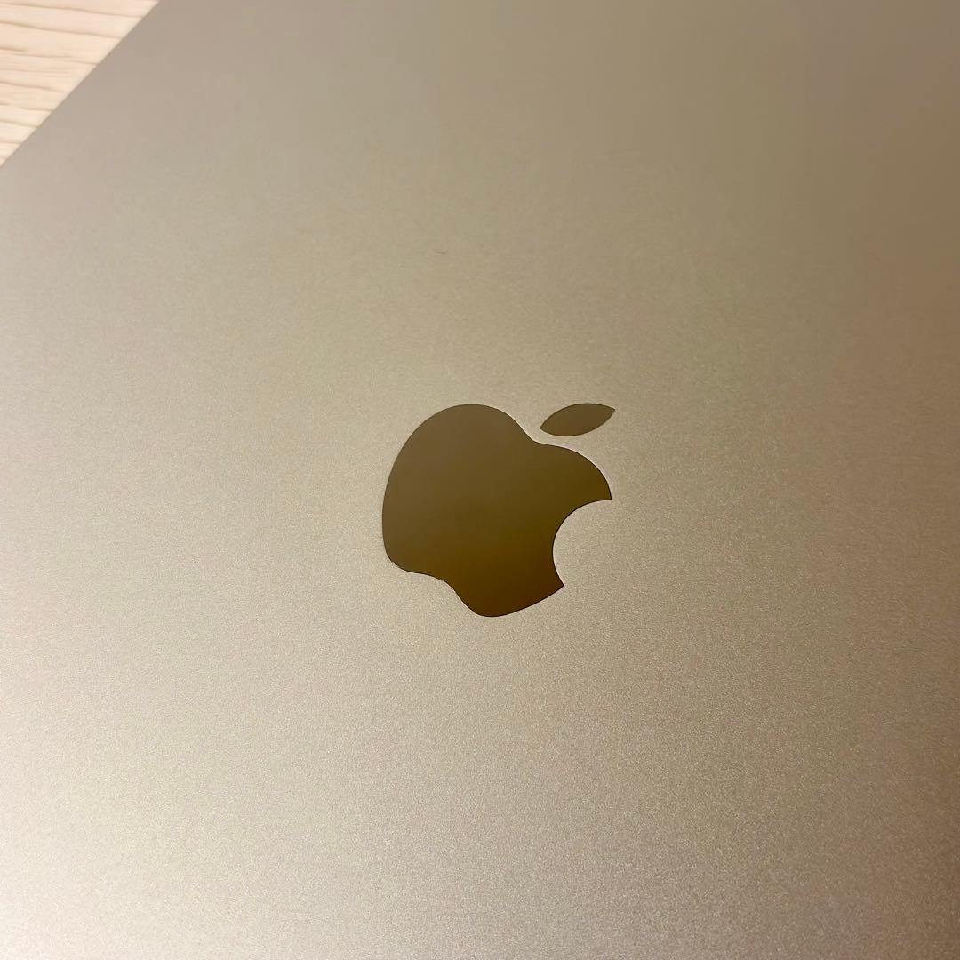 iPad Pro 11インチ 第1世代Wi-Fi+Cellular 256GB