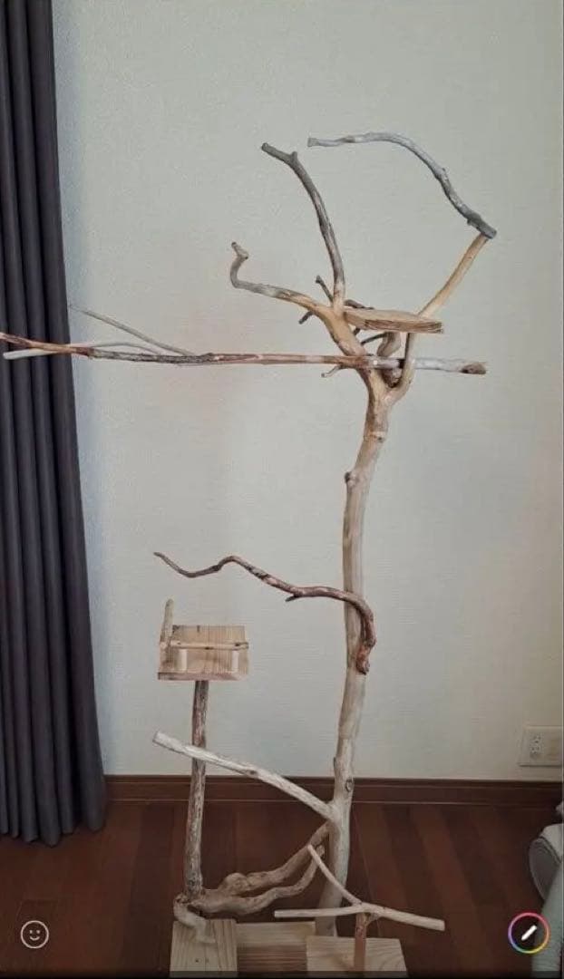 ぴあ　グッズ整理中さま