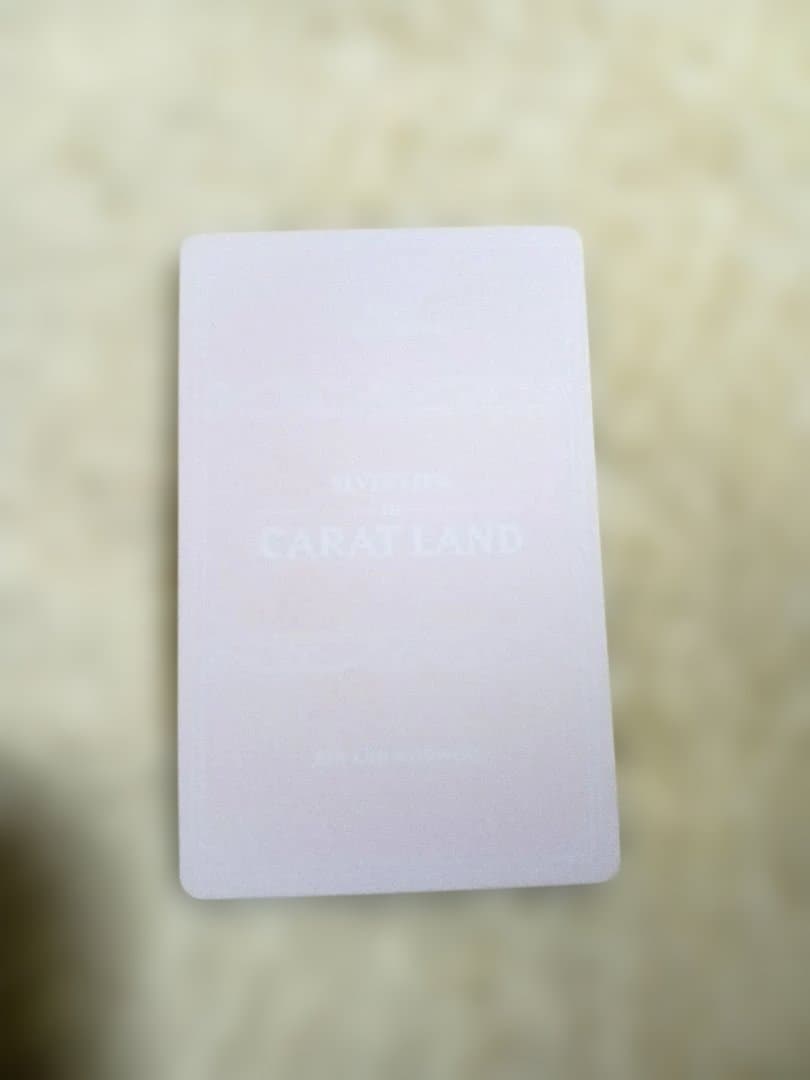 SEVENTEEN　carat land　フォトカード　トレカ　ペア　2018