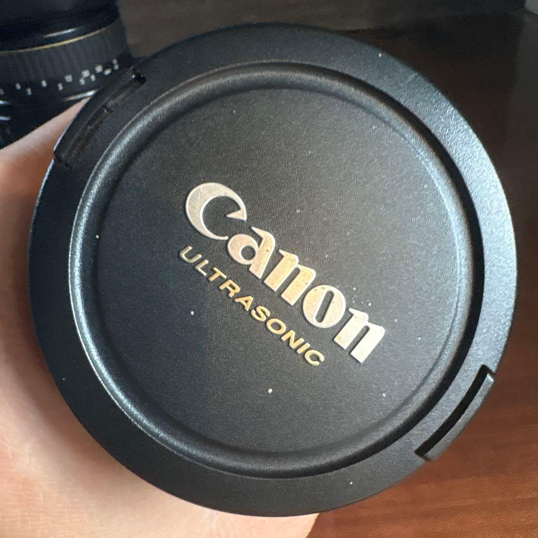 Canon EF-S 10-22mm USM, フィルタとフード付き