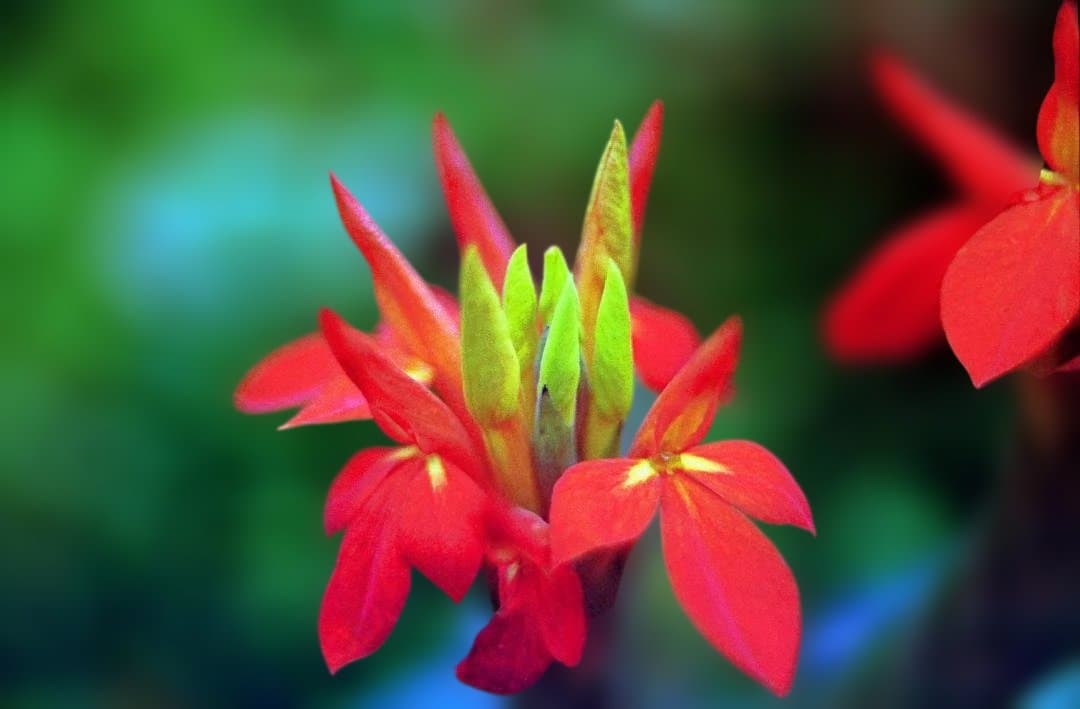 【動作確認済み】CONTAX 167MT フィルムカメラ