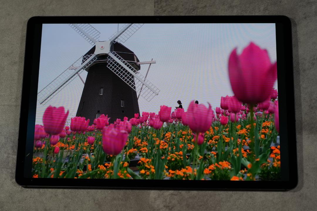 Samsung Galaxy Tab S7+ Wi-Fi SM-T970 Sペン