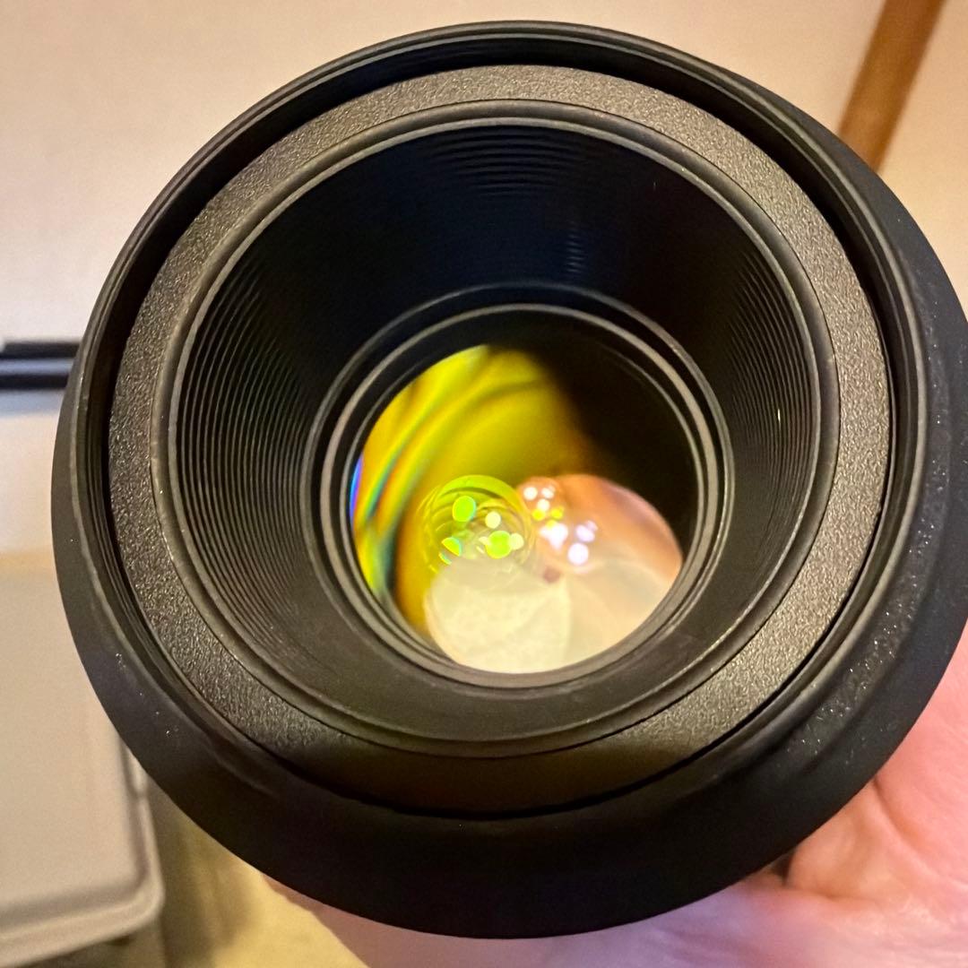 Nikon D7500 レンズセット