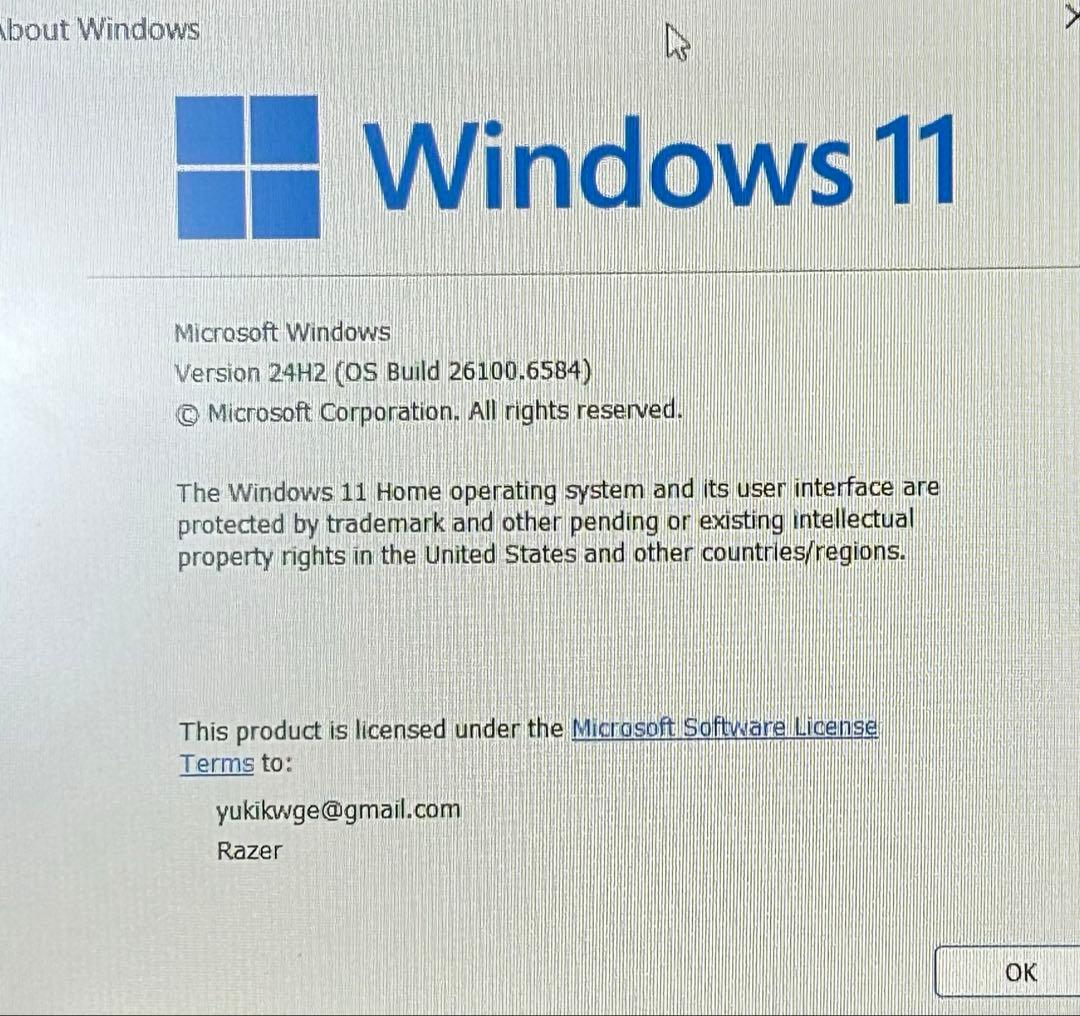 ※Sさん専用※Razer レイザー Blade Stealth 13 2019