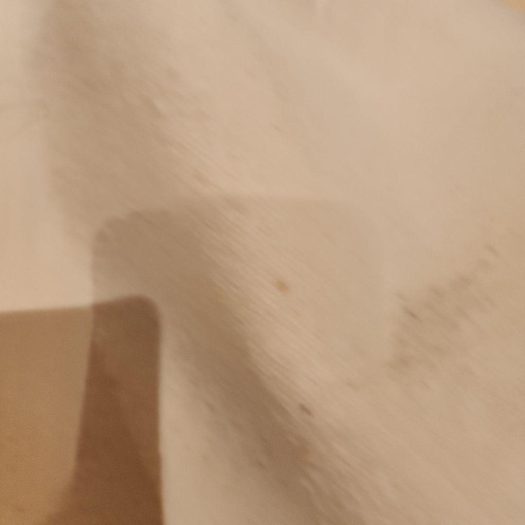 アイアンガーヨガ専用　ヨギー ヨガベルト2本とブランケット5枚