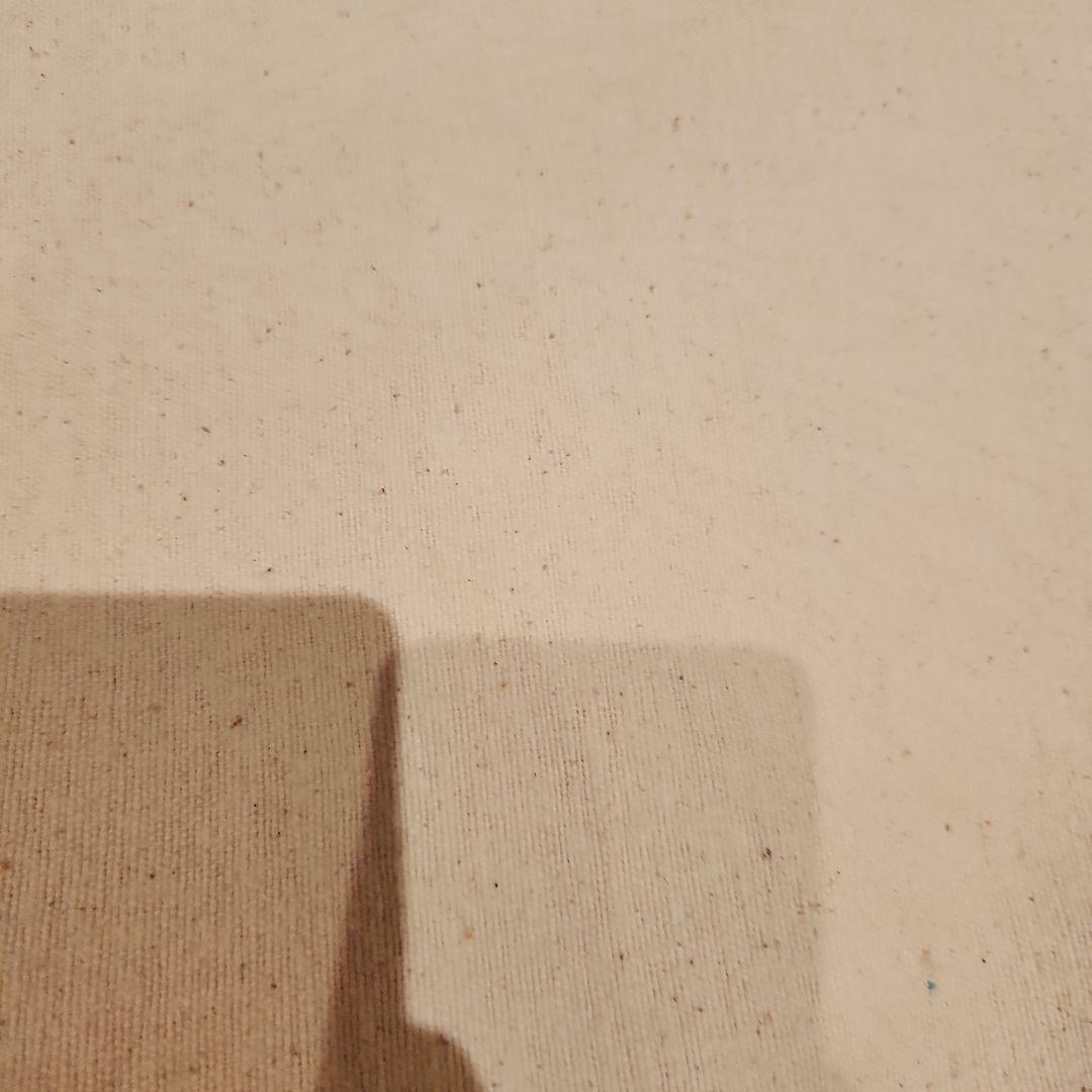 アイアンガーヨガ専用　ヨギー ヨガベルト2本とブランケット5枚