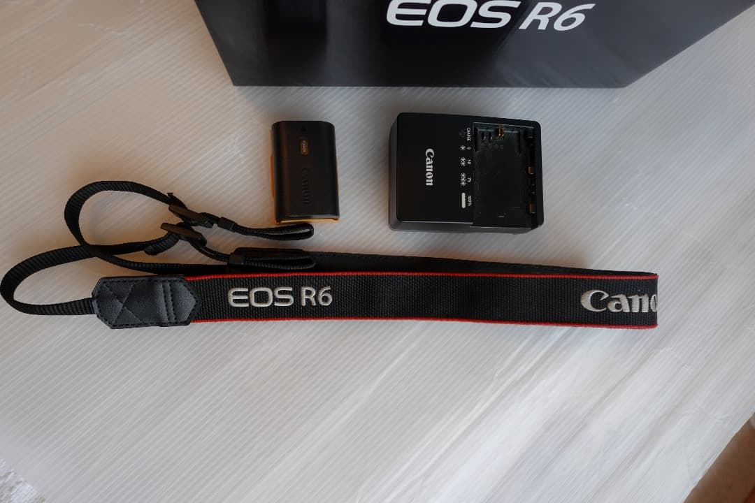 CANON　ミラーレス　 EOS R6ボディ