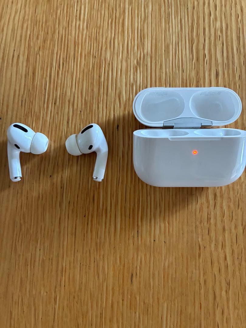 Apple AirPods Pro 第一世代（ノイキャン搭載）
