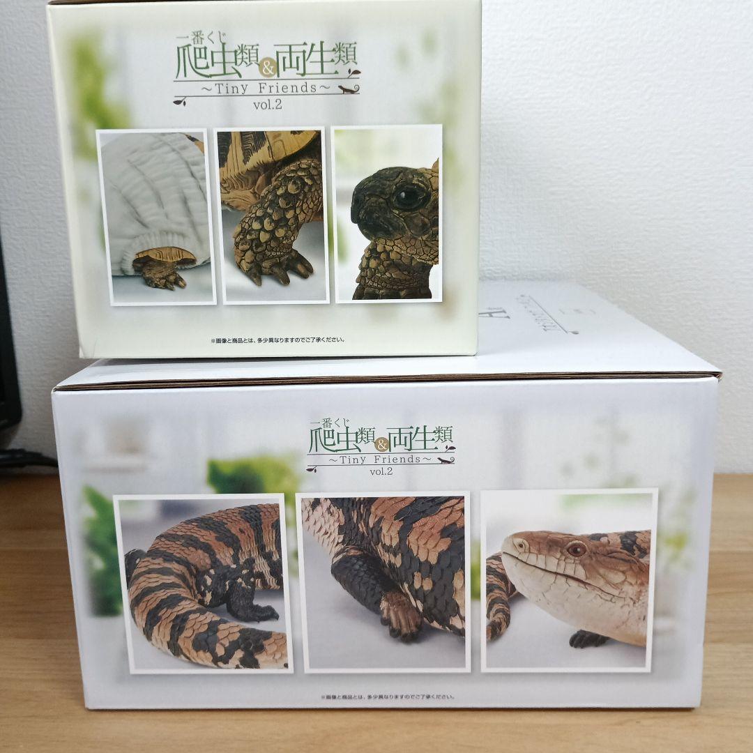 【一番くじ】爬虫類＆両生類 A賞 アオジタトカゲフィギュア　C賞ヘルマンリクガメ