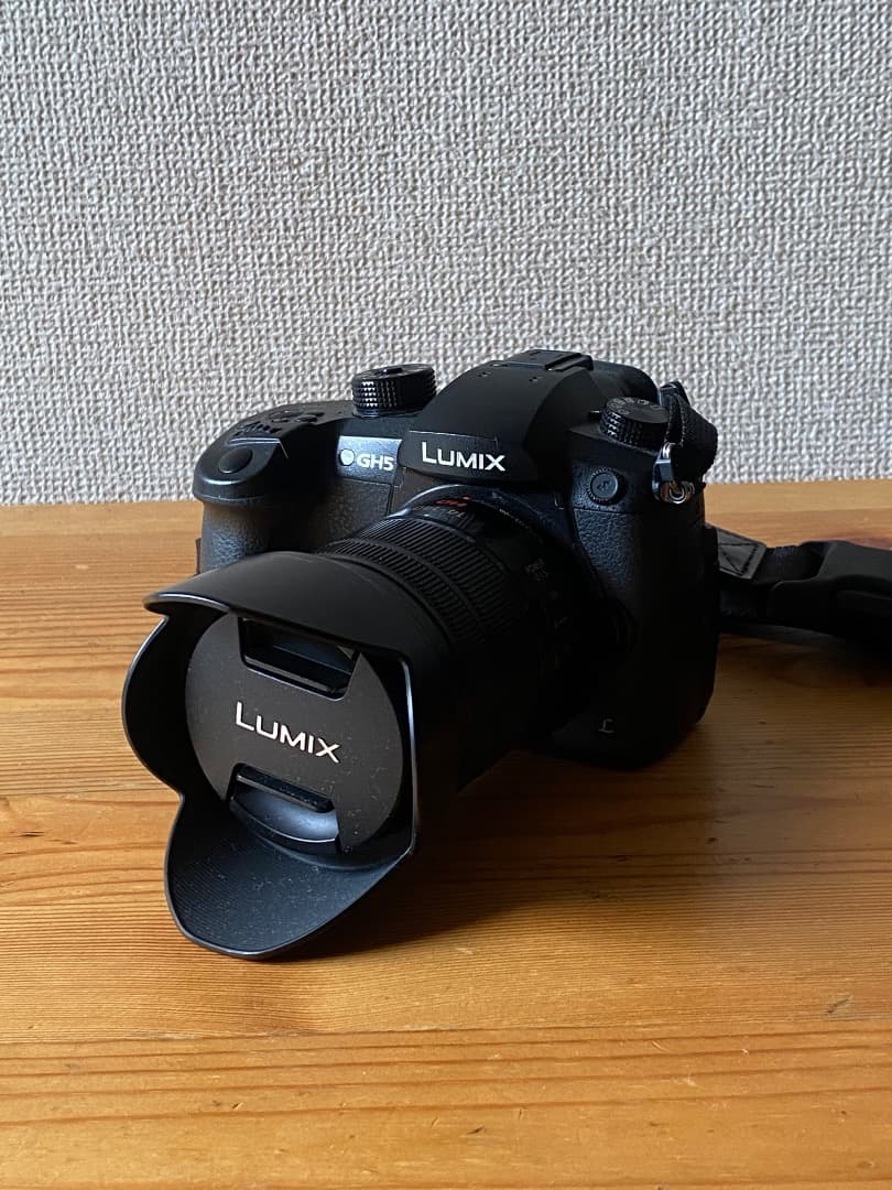 【美品】LUMIX GH5+ G VARIO 14-140mm/F3.5-5.6