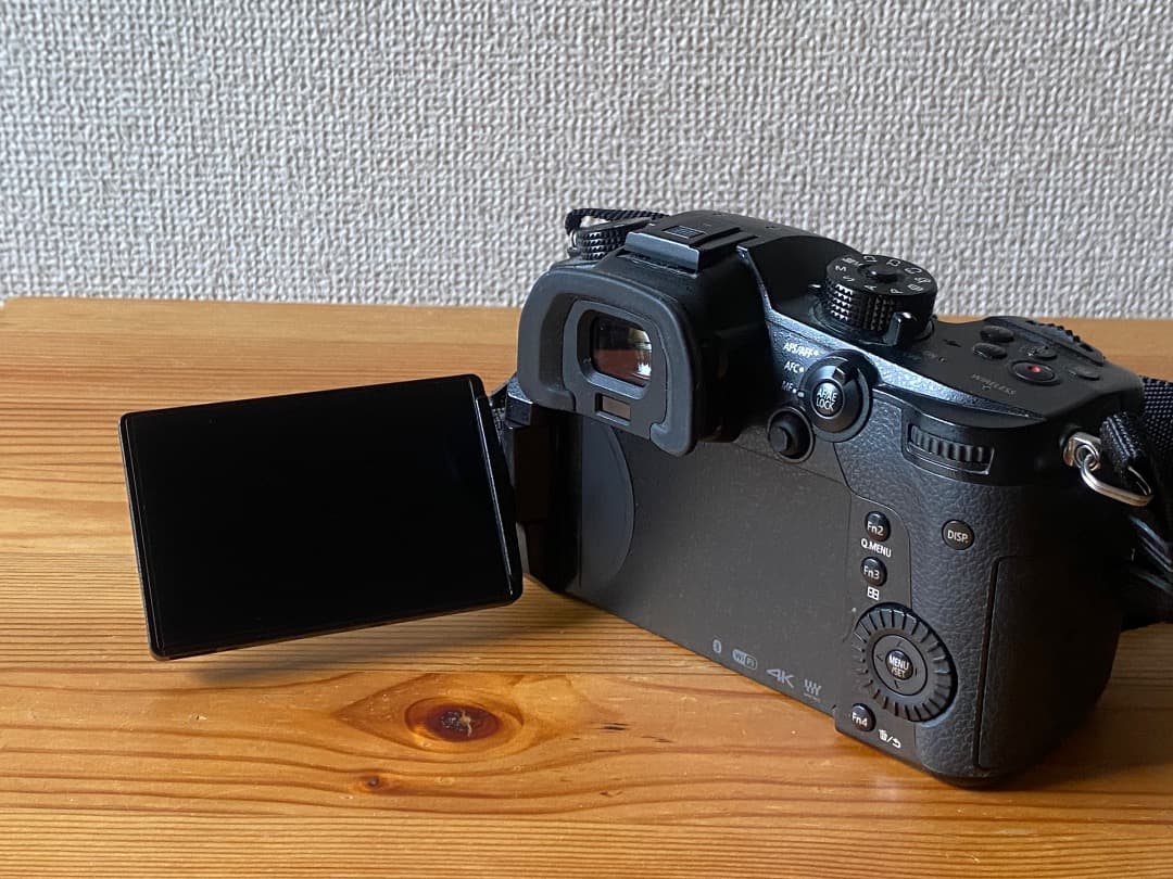 【美品】LUMIX GH5+ G VARIO 14-140mm/F3.5-5.6