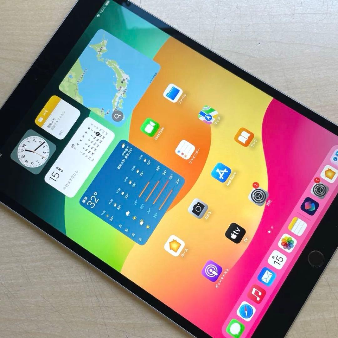 iPad Pro 10.5インチ　A1701 スペースグレイ64GB 美品