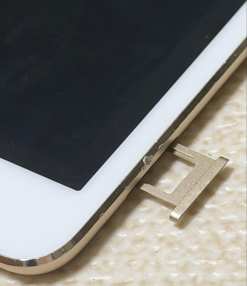 iPad Pro 10.5インチ ゴールド 256GB 本体