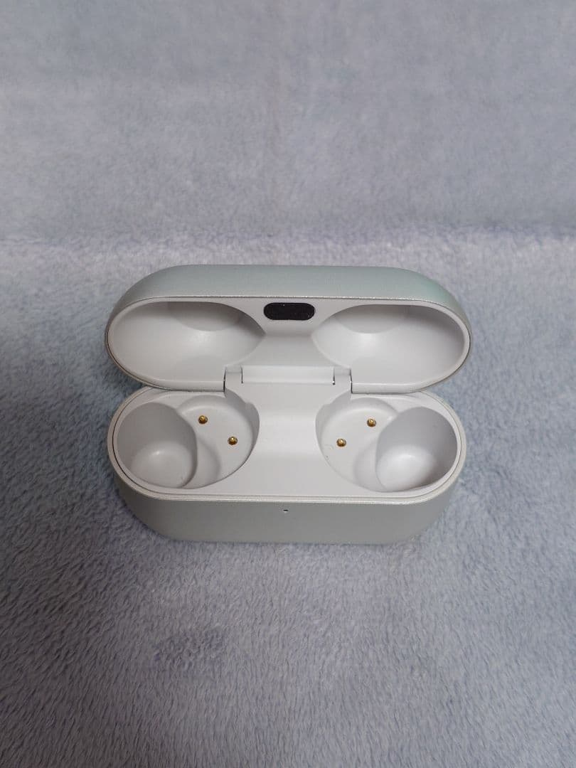 Technics EAH-AZ100 シルバー　ケースのみ