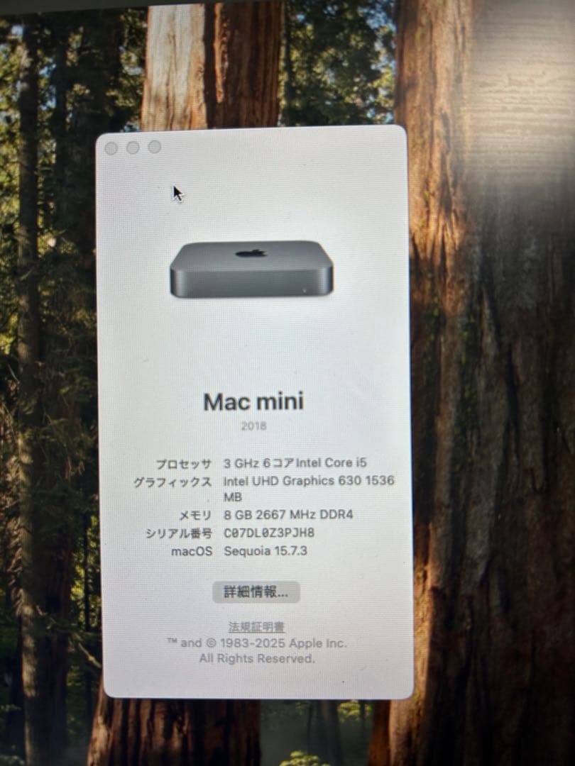 Apple Mac mini 2018 6コア/8GB/512GBスペースグレイ