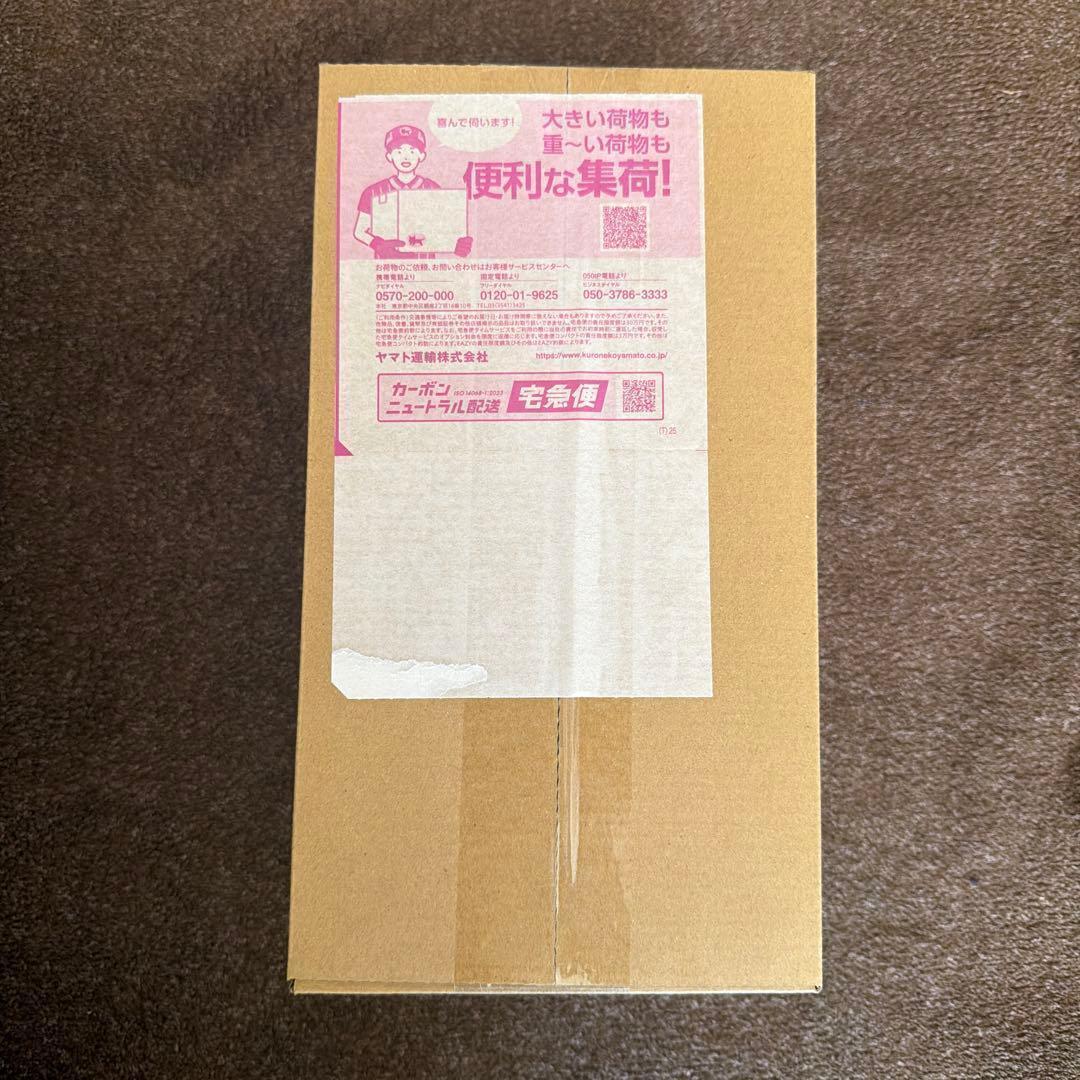 【新品】ポケモンセンター　ヒロシマスペシャル BOX ✨