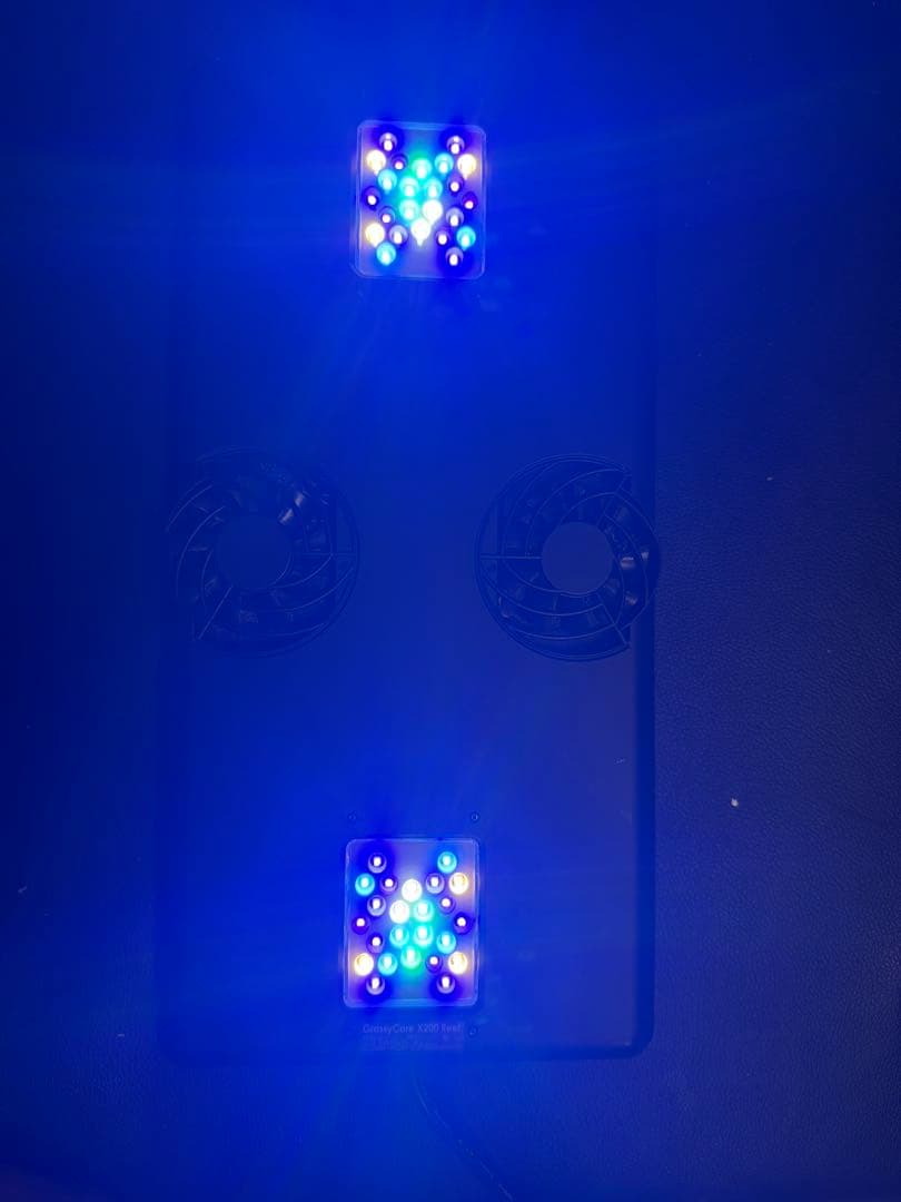 ライト・照明器具 suzume