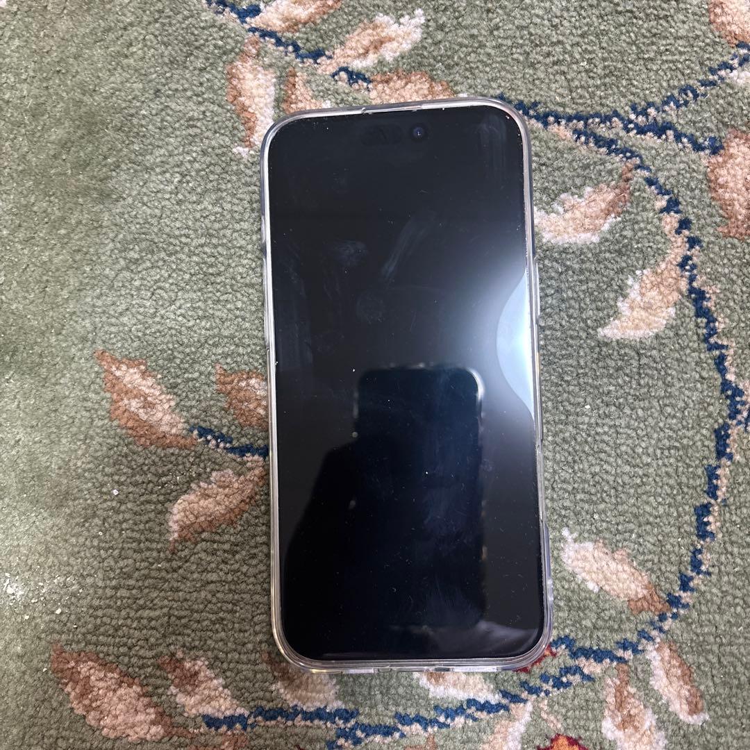Apple iPhone 15 Pro Max 1TB シルバー