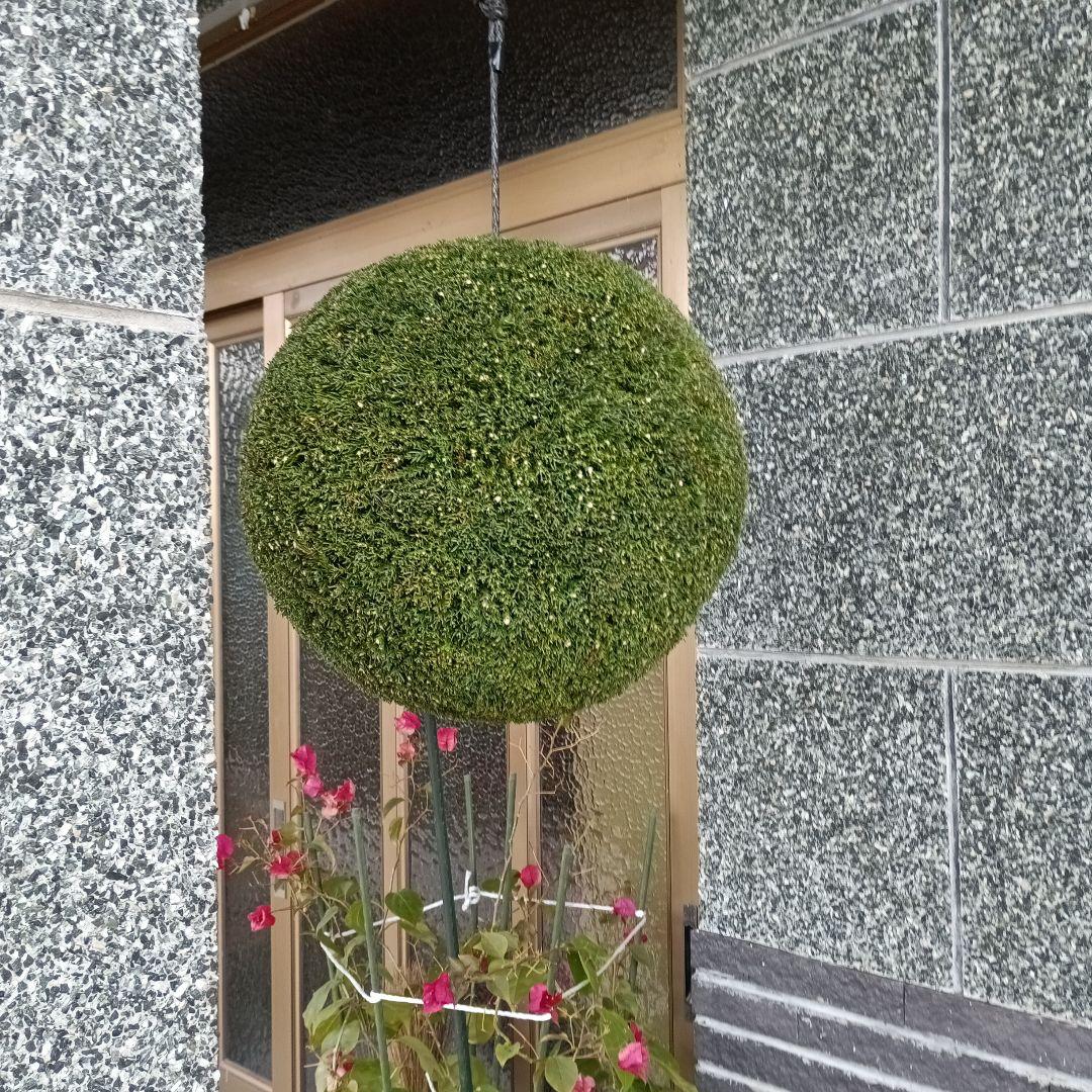 杉玉　直径38ｃｍ　重さ約5kg