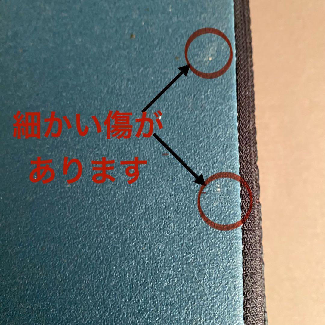 SANTEPLUS サンテプラス Flexcushion フレックスクッション