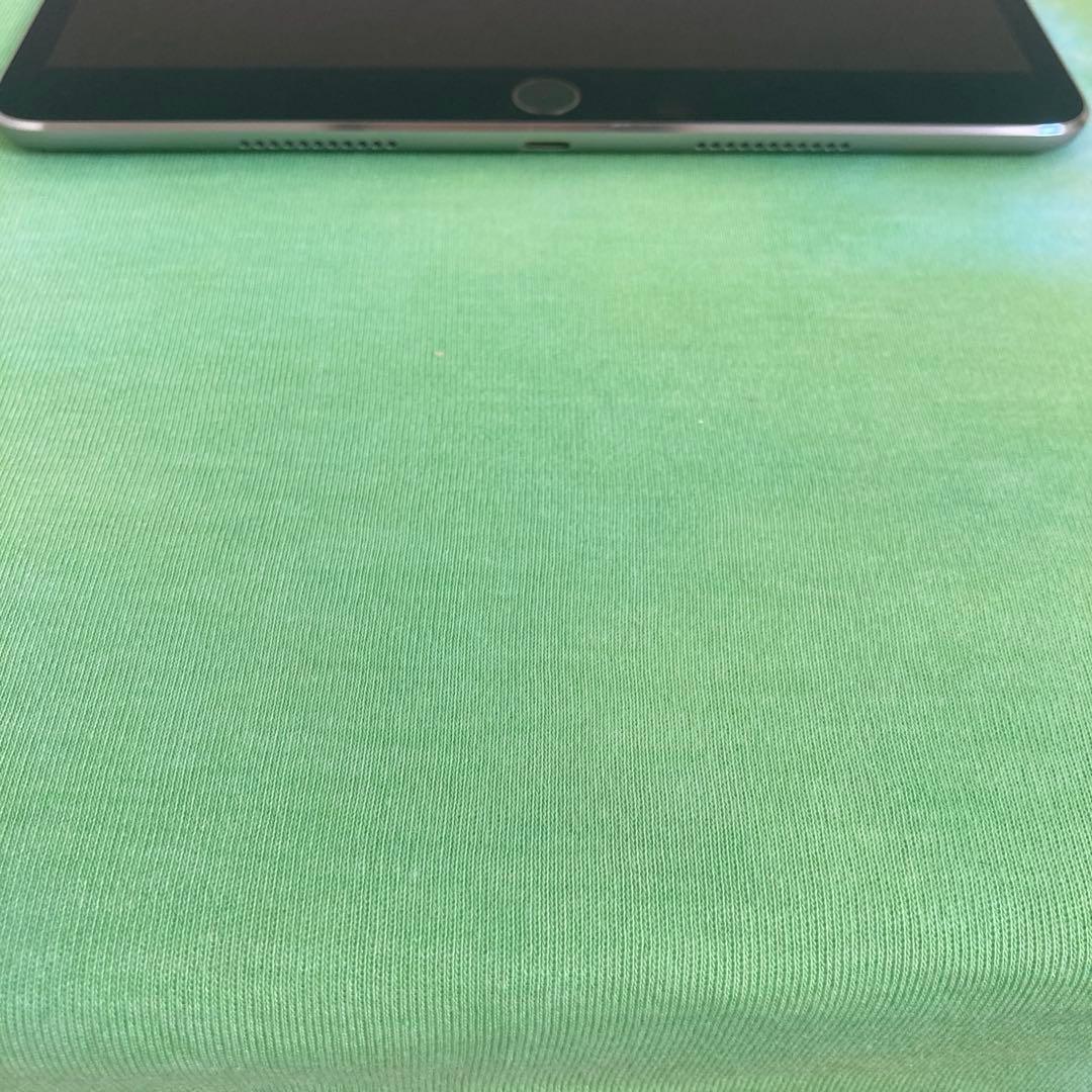 198 電池ほぼ新品☆iPad Pro 256GB 10.5インチ SIMフリー