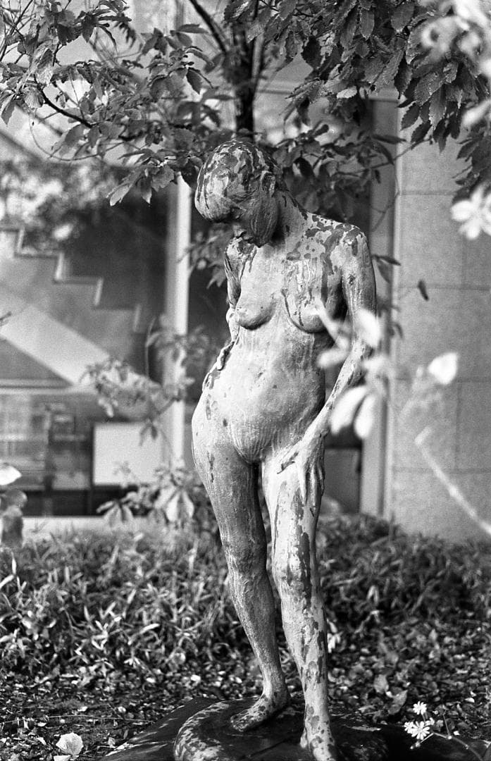 整備済完動　PENTAX SP黒＋Super-Takumar 55mm F1.8