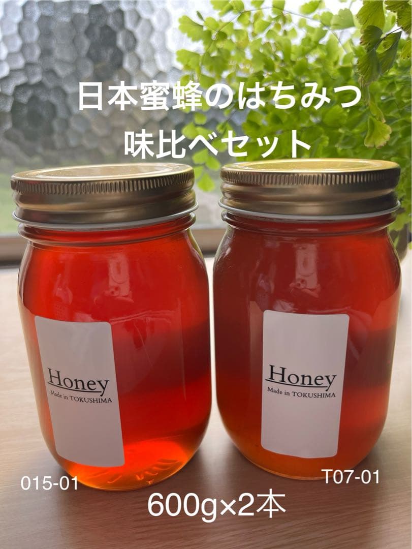 【徳島県産】日本蜜蜂のはちみつ600g×2本SET