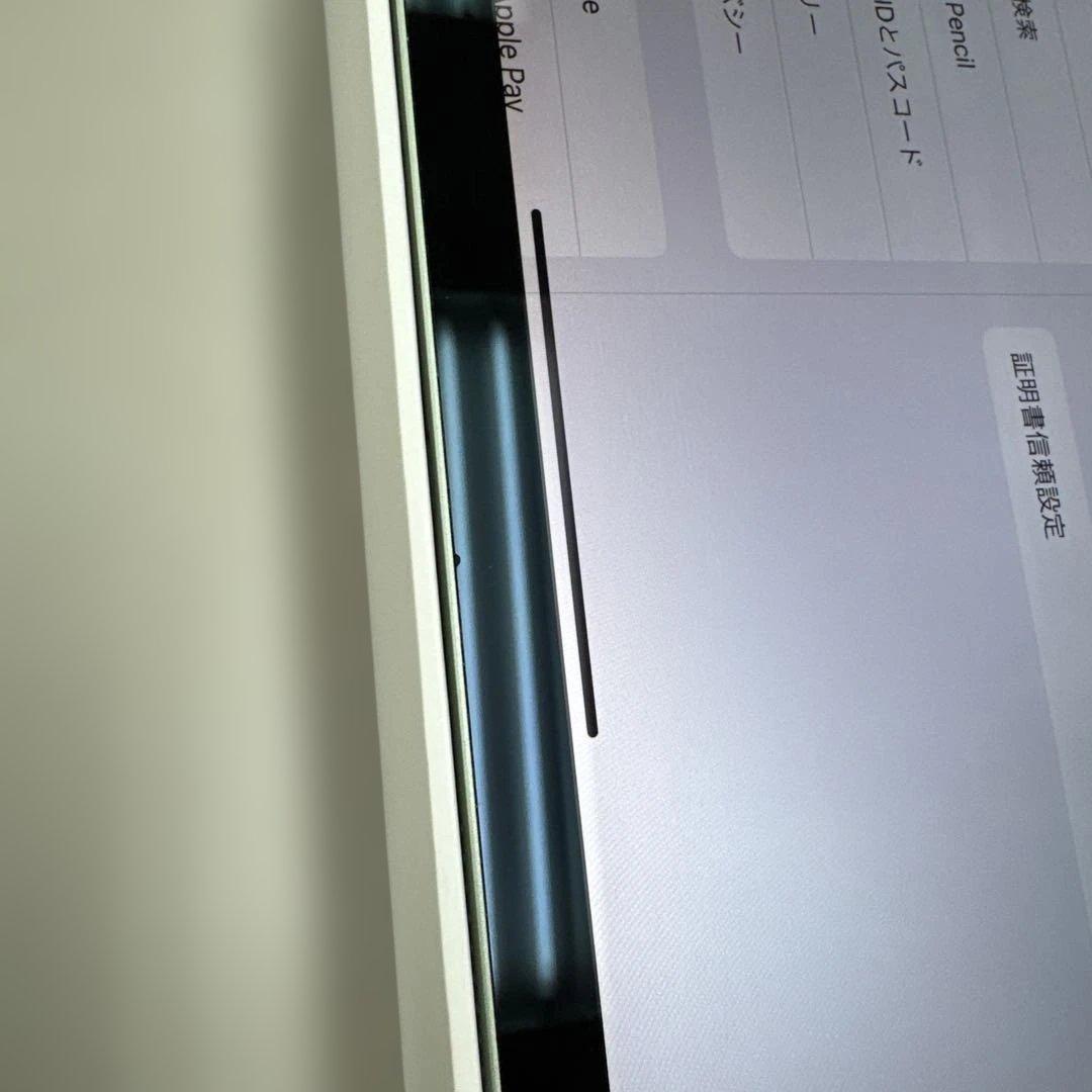 美品 iPad Air (第4世代) 256GB グリーン Wi-Fi モデル