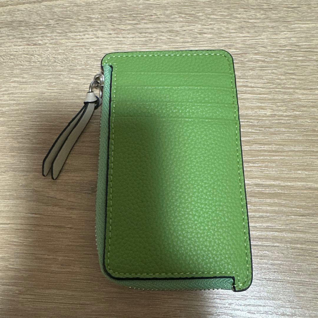 ichiro／LOEWE グリーンレザー ケース
