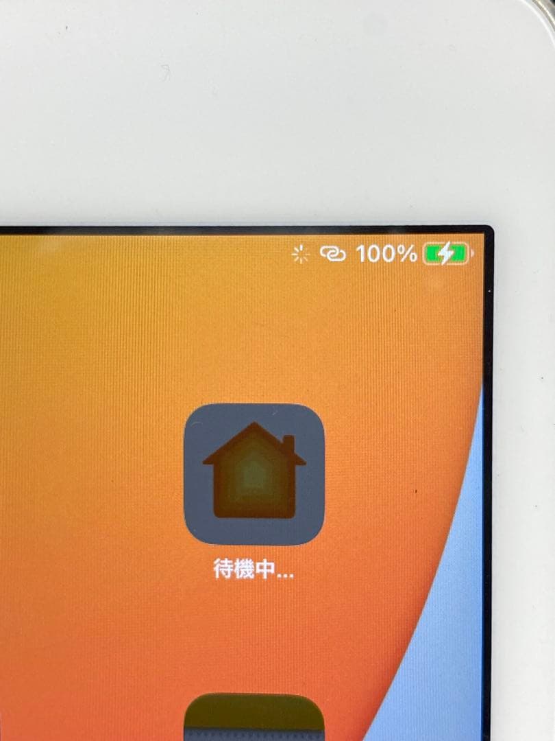 iPad mini 4 Wi-Fiモデル 64GB MK9H2J/A