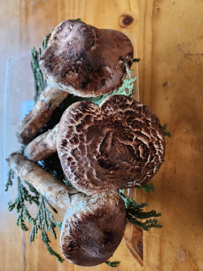 北海道産松茸　 387g