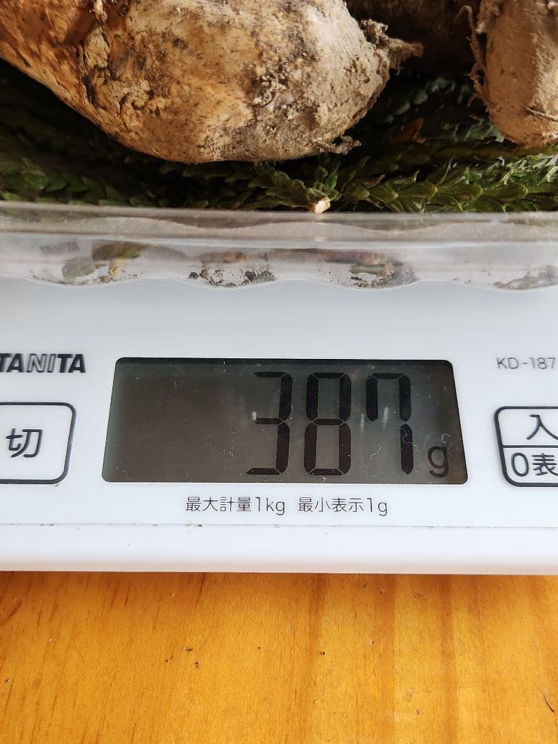 北海道産松茸　 387g