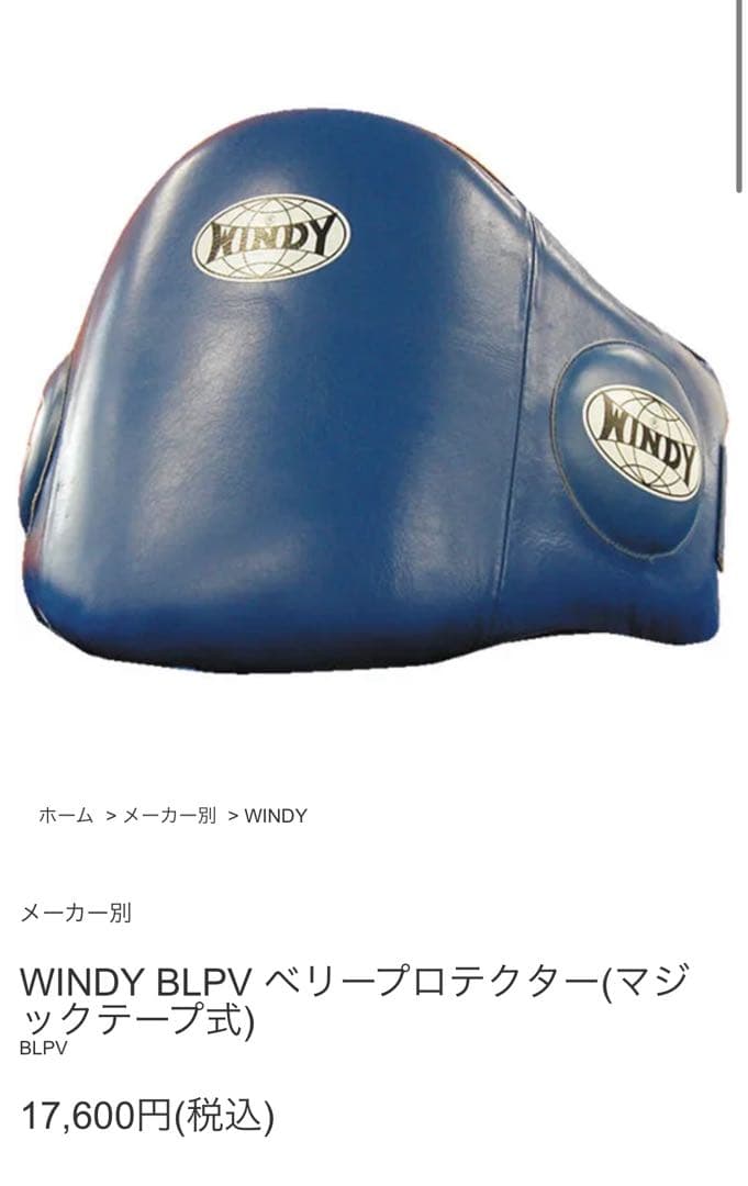 WINDY ボディーミット