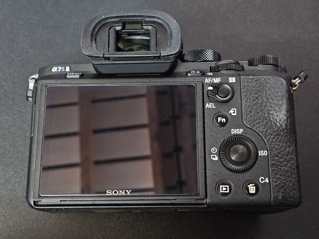 SONY α7SII / ILCE-7SM2 (シャッター数1,415回)