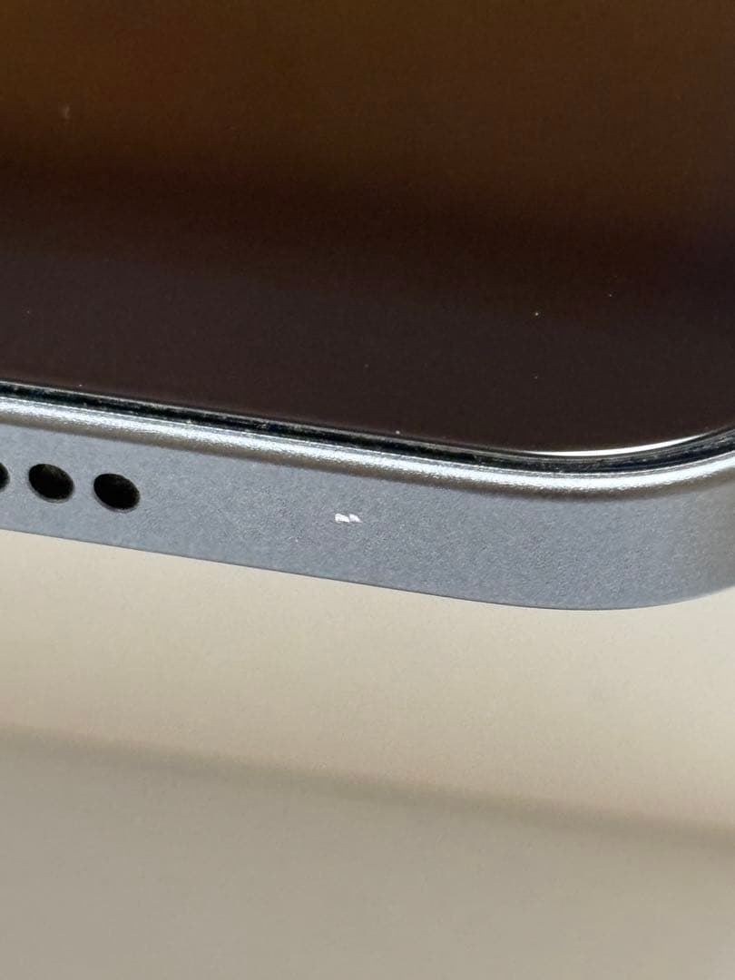 【サトウキビ】iPad mini 6 +Apple Pencil