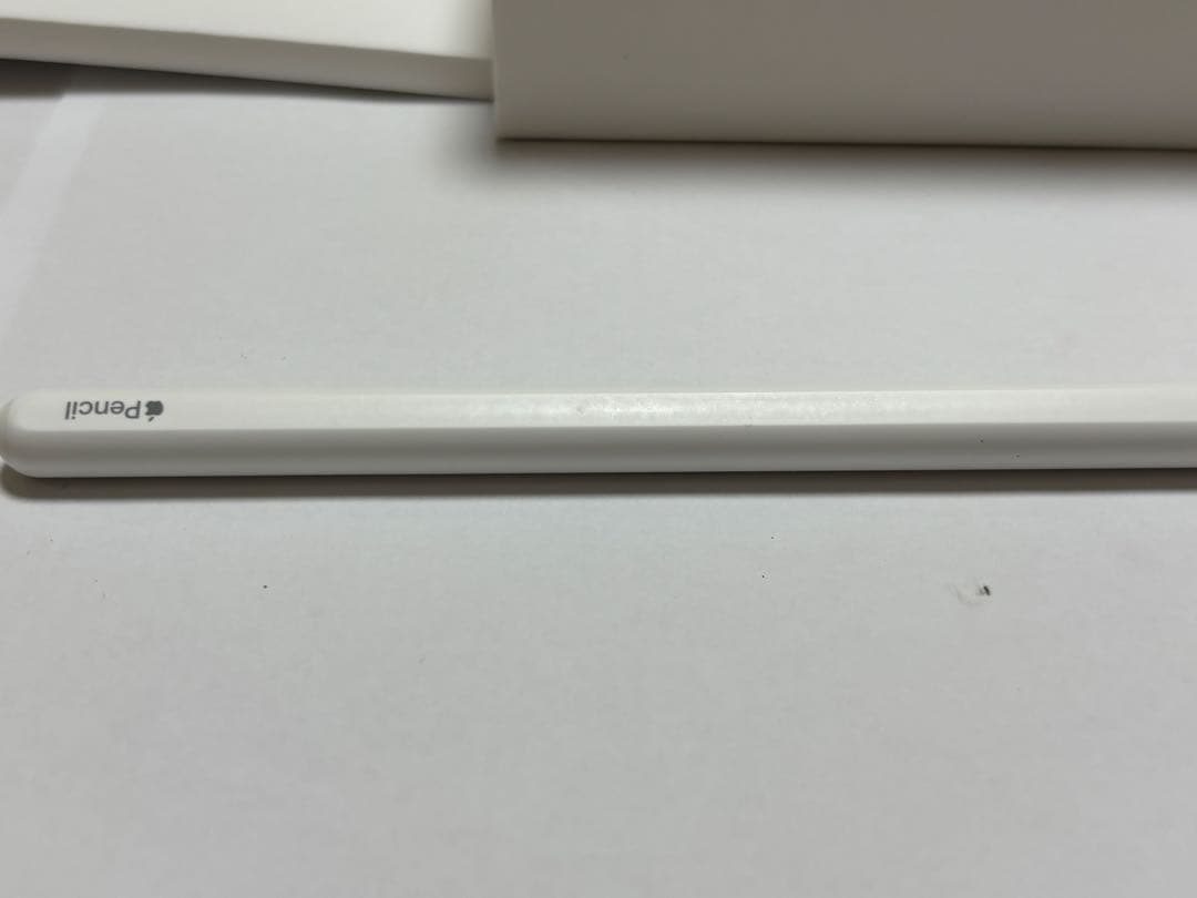 【サトウキビ】iPad mini 6 +Apple Pencil