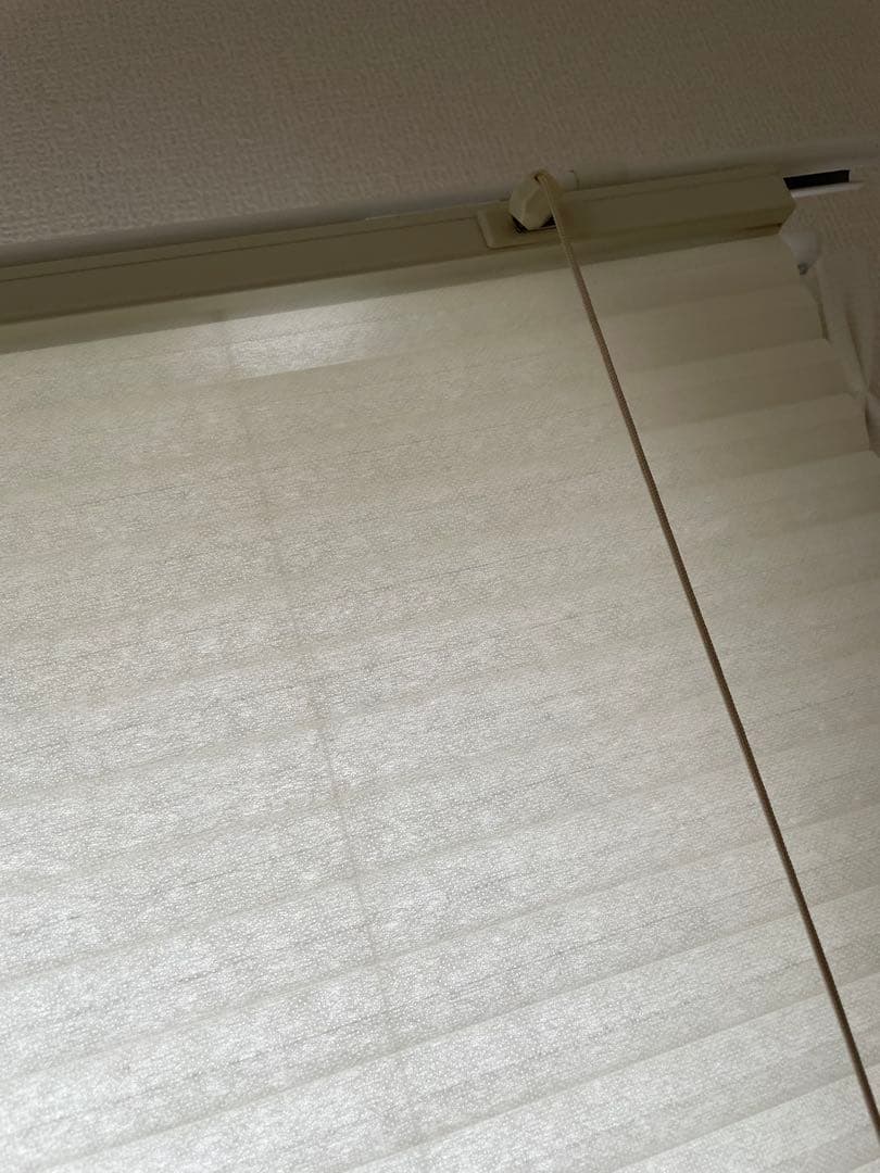 3/24まで　ハニカムシェード　賃貸OK