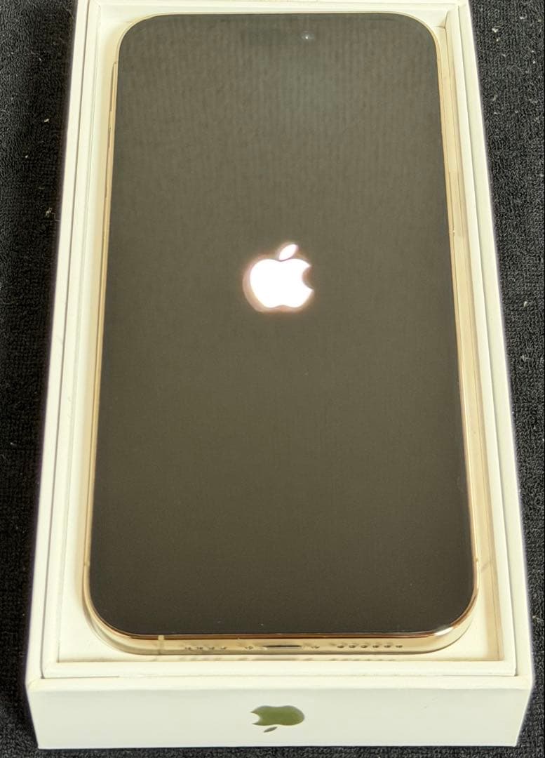 iPhone 14 Pro Max 1TB ゴールド