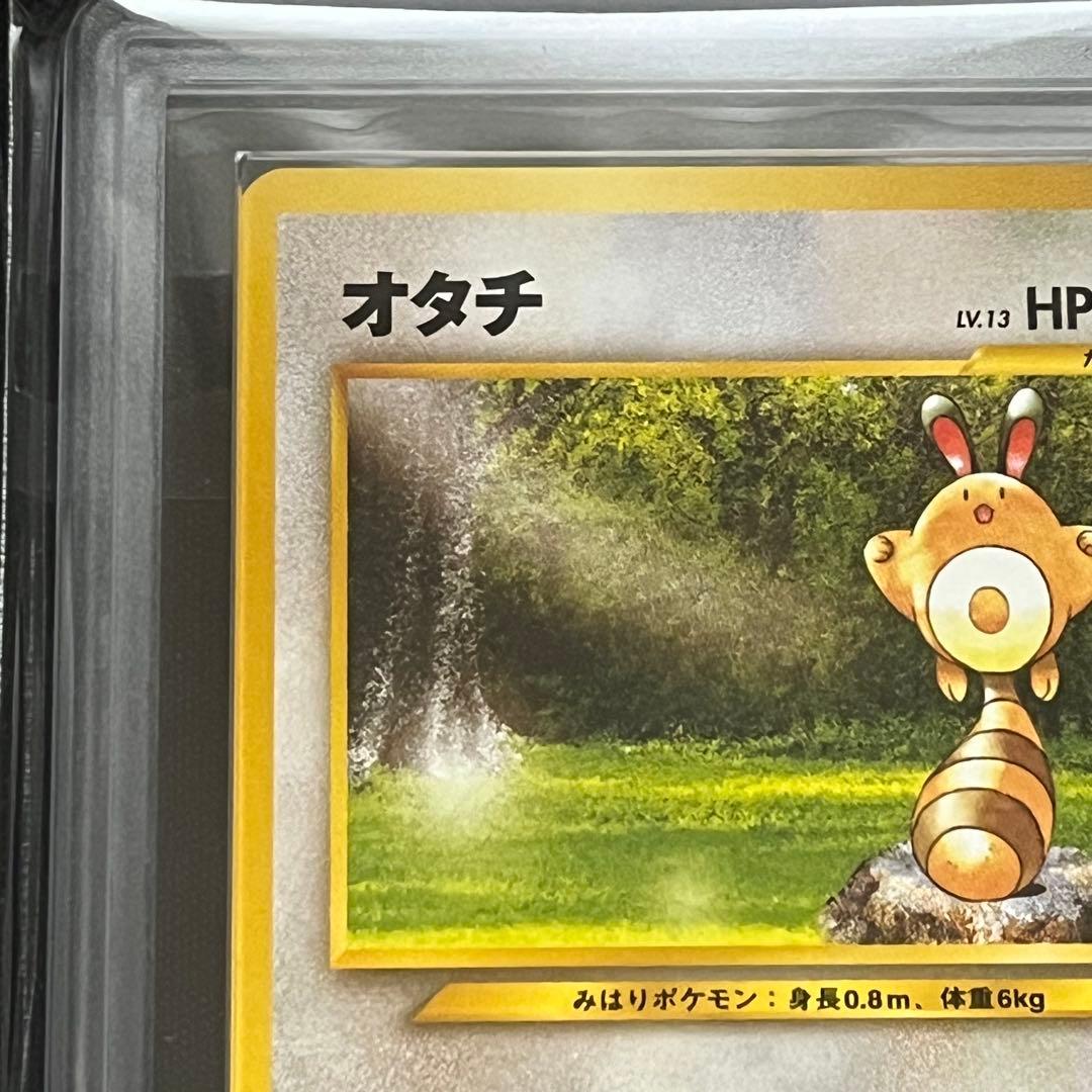 【ARS10+】ポケモンカード　旧裏　オタチ　neo　鑑定書付き